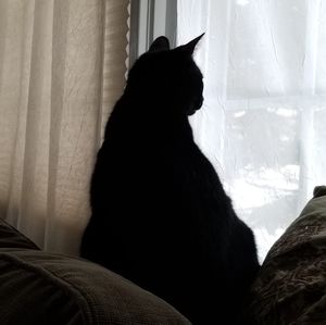 Meet your Posher, Roberta